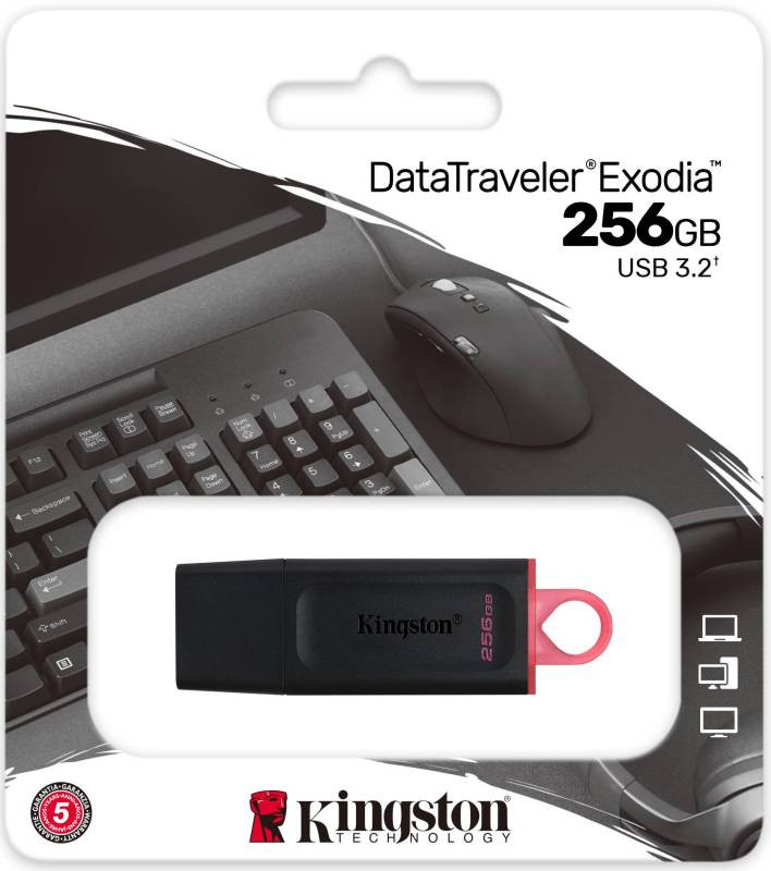 256 GB USB 3.2 Pendrive Kingston