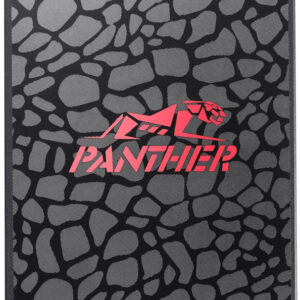 512 GB SATA SSD ApacerAS350 Panther